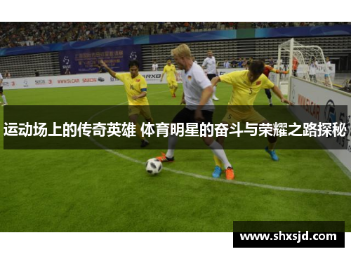 运动场上的传奇英雄 体育明星的奋斗与荣耀之路探秘