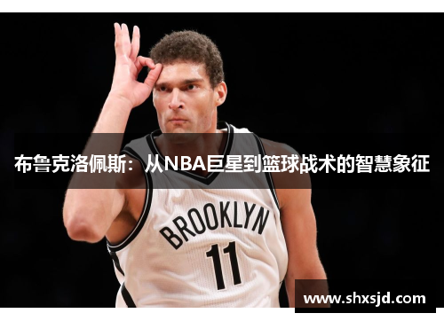 布鲁克洛佩斯：从NBA巨星到篮球战术的智慧象征